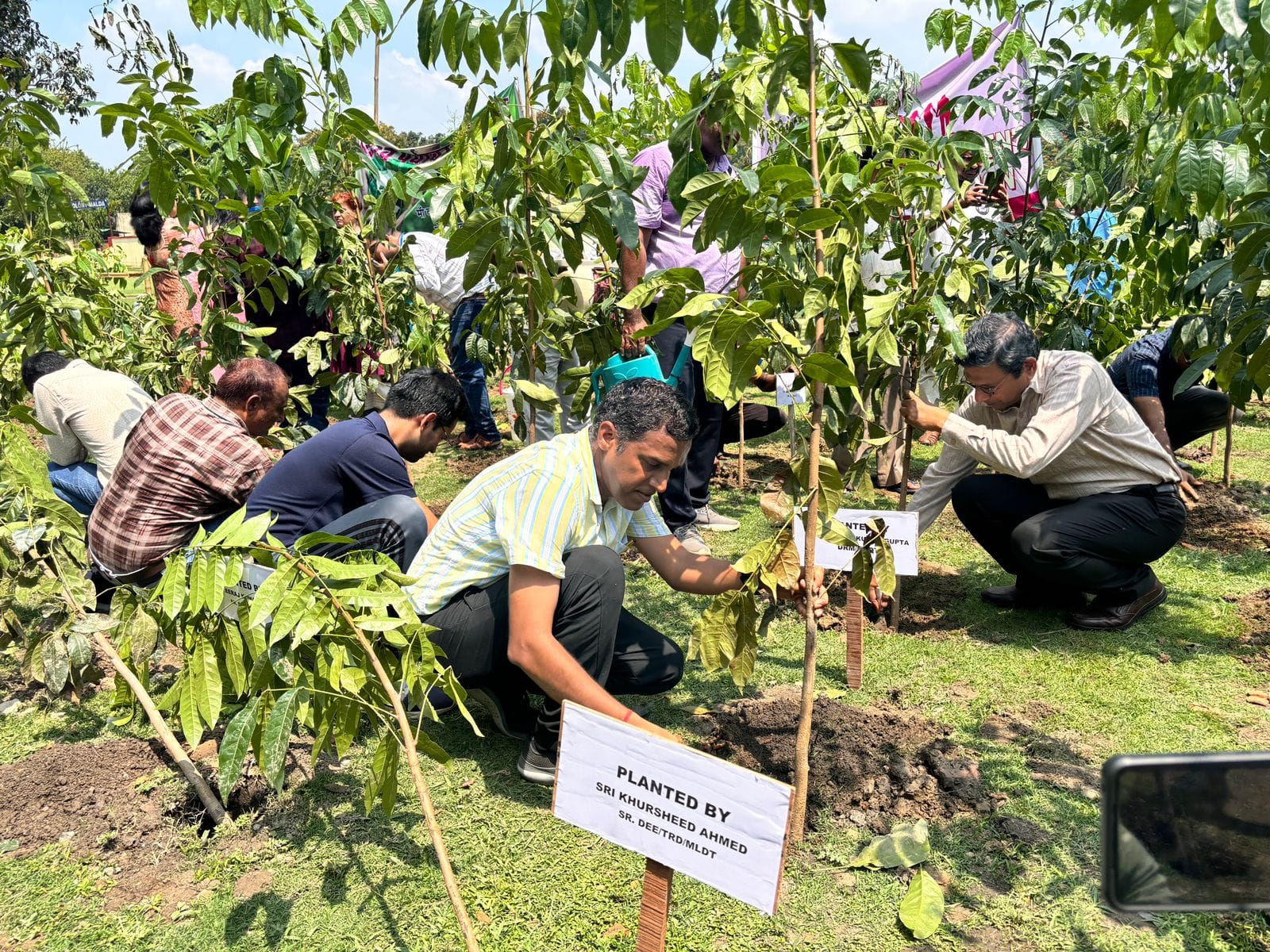 मालदा मंडल ने विश्व पर्यावरण दिवस पर 25,000 पौधे लगाए, “एक पेड़ माँ के नाम” अभियान में मियावाकी तकनीक का उपयोग