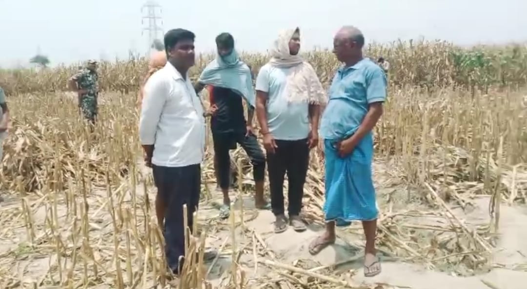 नवगछिया में मकई खेत से बरामद हुआ युवती का शव, इलाके में सनसनी