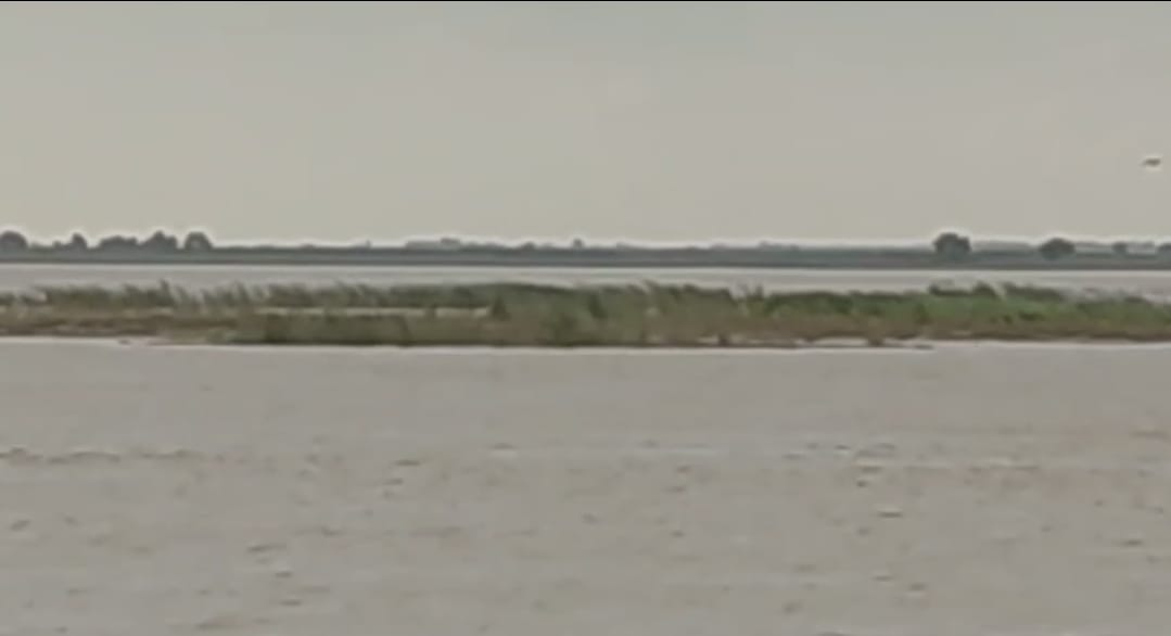 भागलपुर में गंगा का जलस्तर घटा, निचले इलाकों में राहत की सांस, प्रशासन अब भी अलर्ट