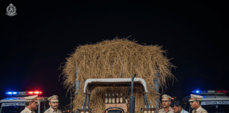 भागलपुर: पुआल के नीचे छिपाकर ले जाई जा रही 546 लीटर विदेशी शराब जब्त, दो तस्कर गिरफ्तार