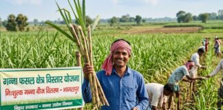 बिहार में ‘मीठी क्रांति’ की तैयारी: गैर-चीनी मिल क्षेत्रों में गन्ने की खेती का होगा विस्तार, सरकार दे रही मुफ्त बीज